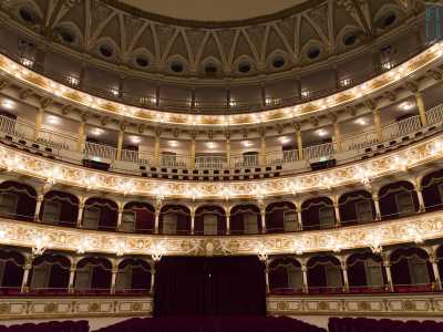 Tre file di palchi circondano la platea, poi pian piano vengono sostituiti dalle gradinate che arrivano fino al quinto ordine, per un totale di 1482 posti